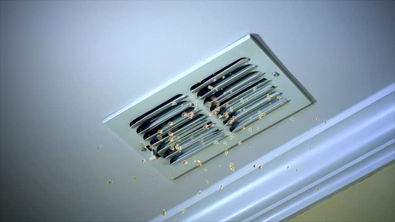 Best HVAC System Cleaning  in Jesup, GA