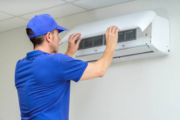 Air Duct Mold Removal in Jesup, GA